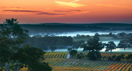 Discover the Cooler Side of the Barossa
