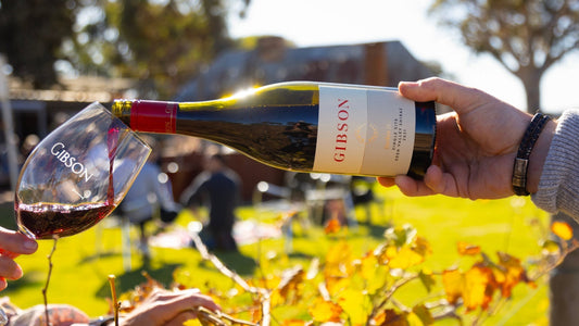 The Vintage Journal - Five Wines. Five Expressions of Gibson.