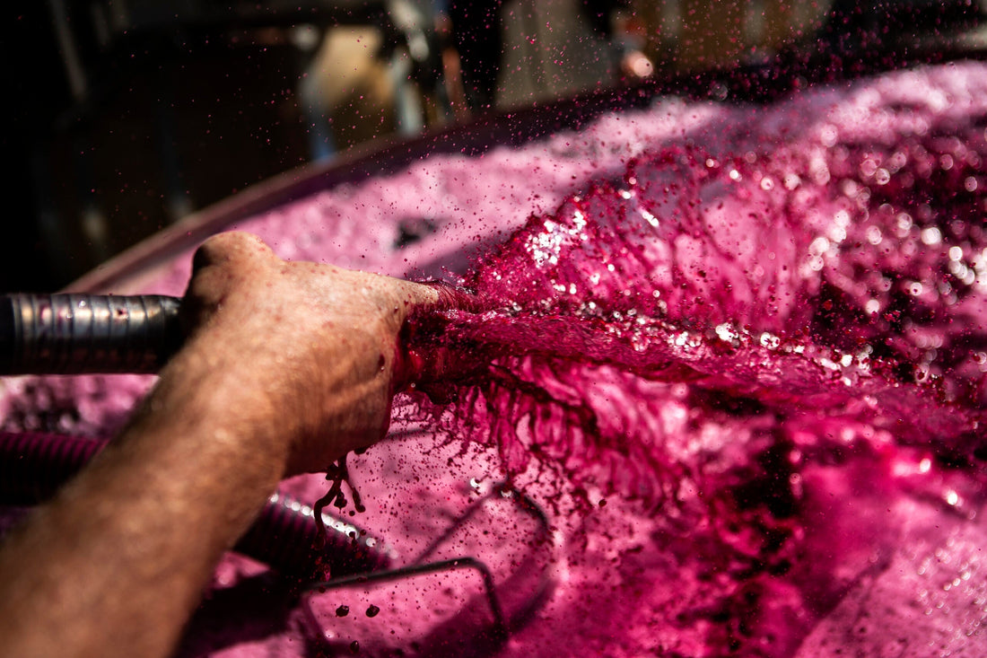 Good Food & Wine Show Sydney - 19 – 21 June 2026