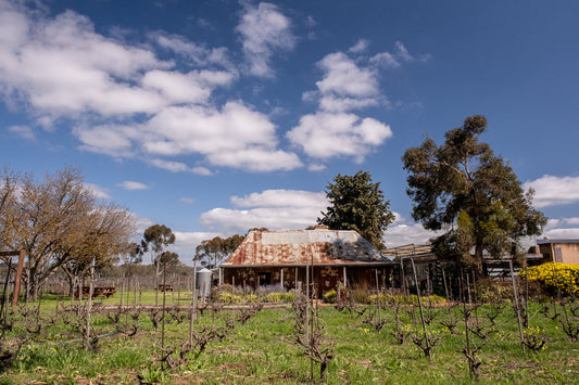 Gibson Wines Named a 2026 SA Tourism Awards Finalist