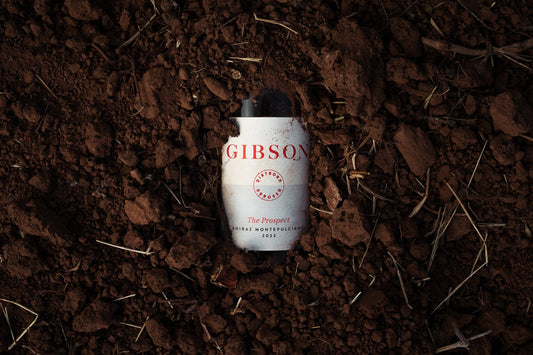 The Prospect - The Next Benchmark Barossa Blend