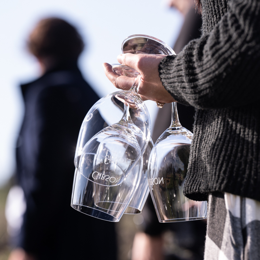 Swirl Sessions at the Louise - Fri 27th Feb