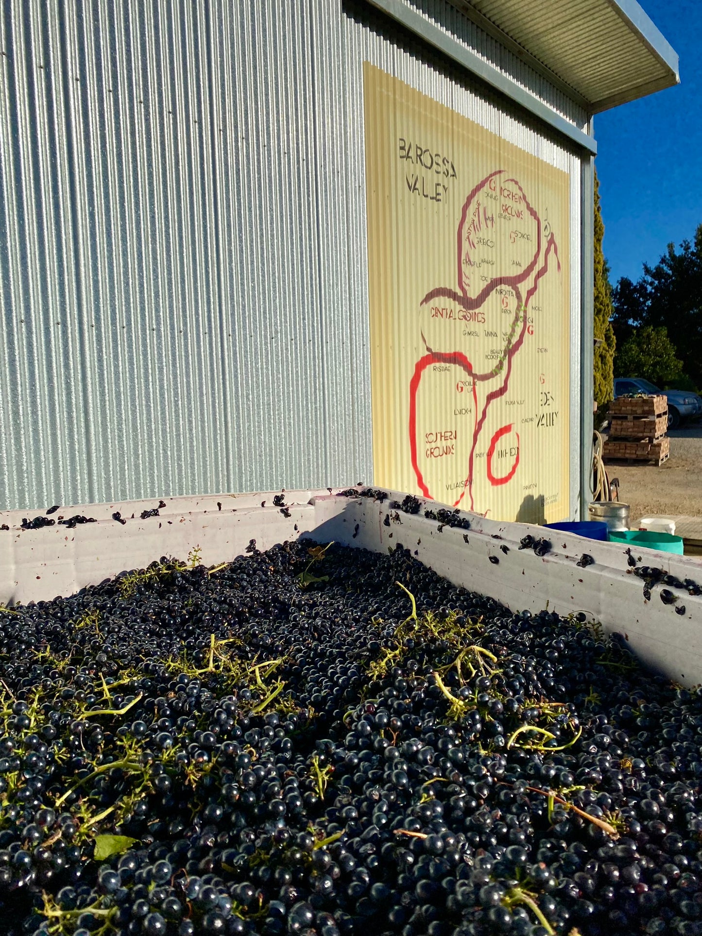 Behind the Scenes - A Taste of Vintage