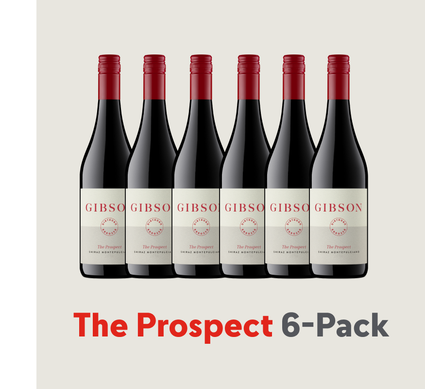 The Prospect Shiraz Montepulciano 6-Pack